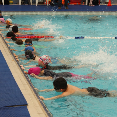 Crocodile Sports Academy