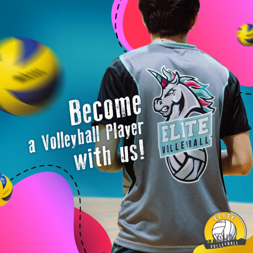 Elite Volleyball Academy
