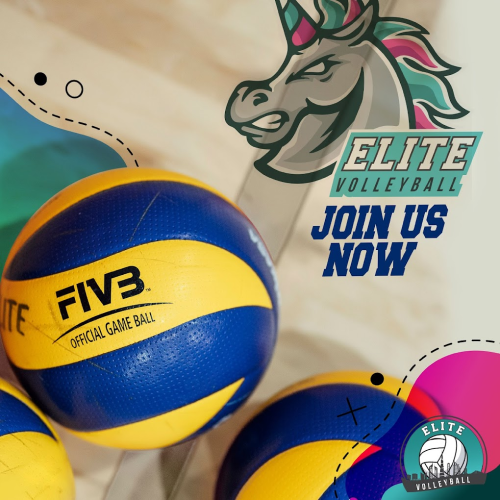 Elite Volleyball Academy