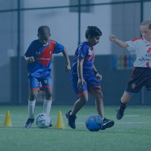 Team Sports Services