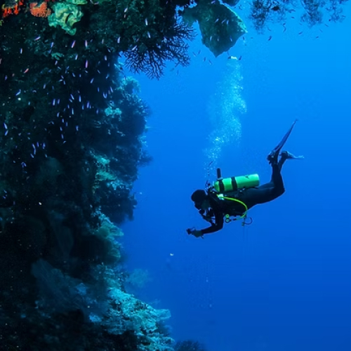 Take Me Divin
