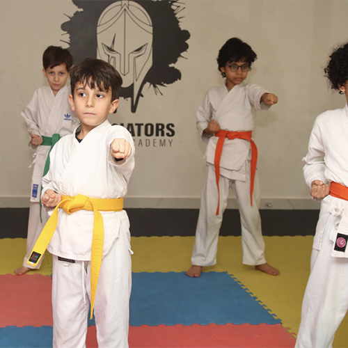 Gladiators Sports Academy Center