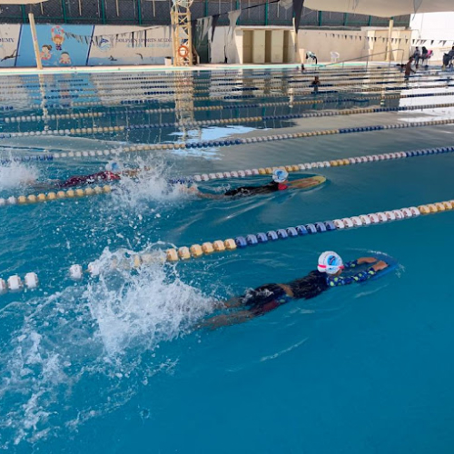 Dolphin Sports Academy