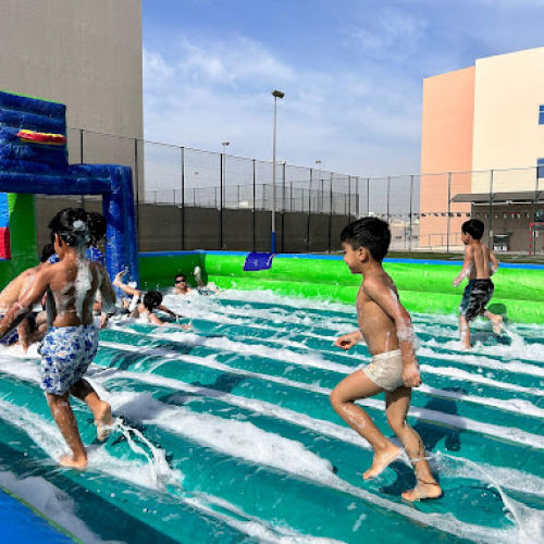 Dolphin Sports Academy