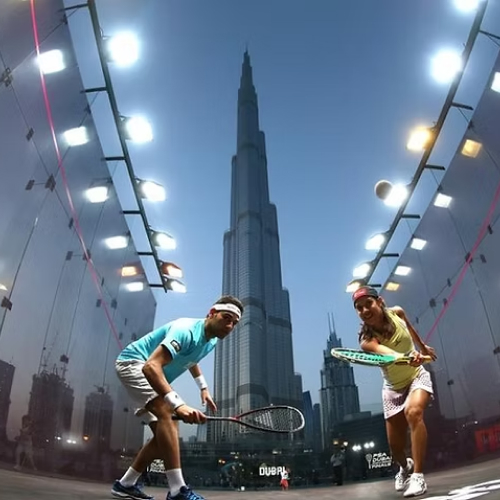 NoLet Squash Academy