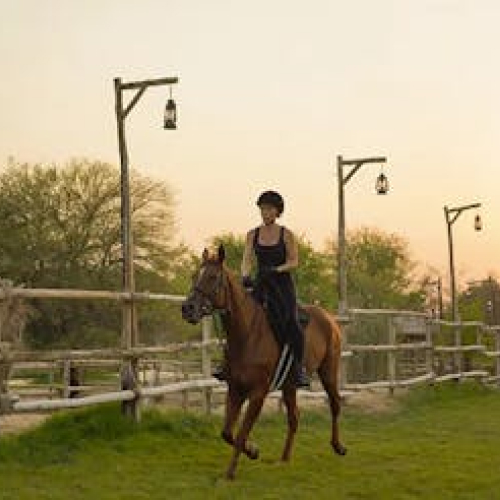 Walk Ride