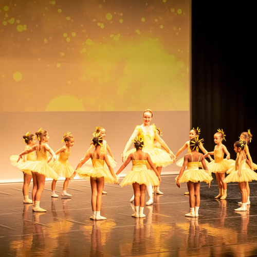 The Ballet Centre