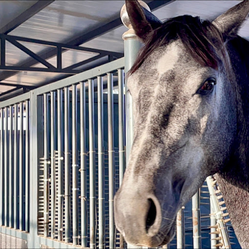Equiland Stables