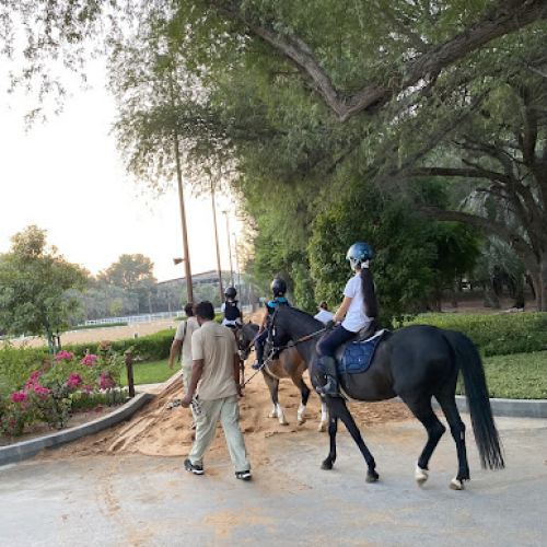 The Royal Stables