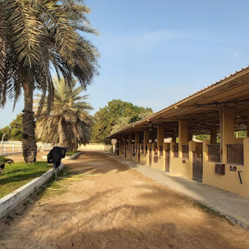 The Royal Stables
