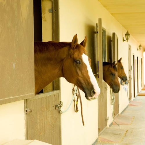 The Royal Stables