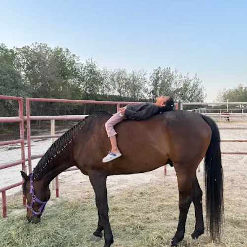 Rahal Ranch