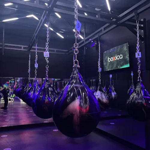 Boxica Gym