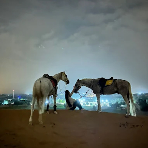 Kaber Stables