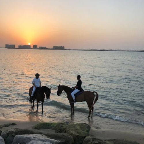 Kaber Stables