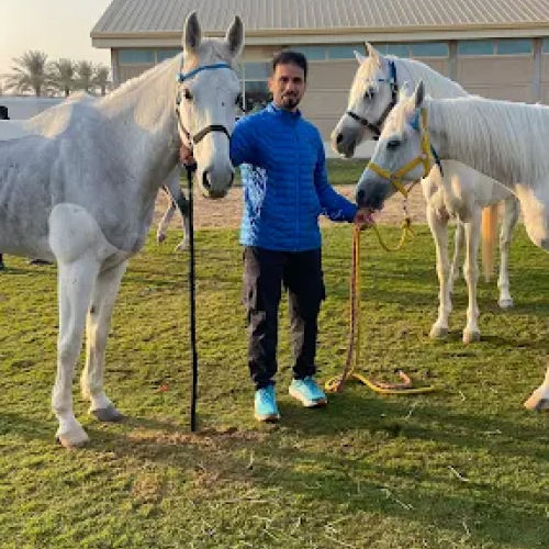 Kaber Stables