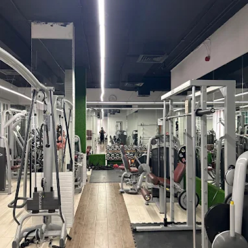 Fitness Terminal Ladies Gym