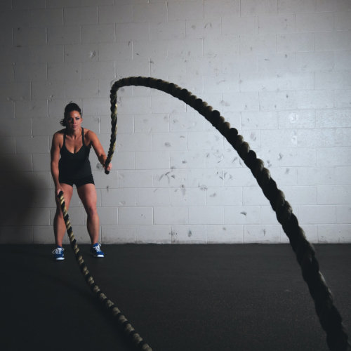 Fitness Terminal Ladies Gym