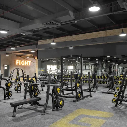 GymNation