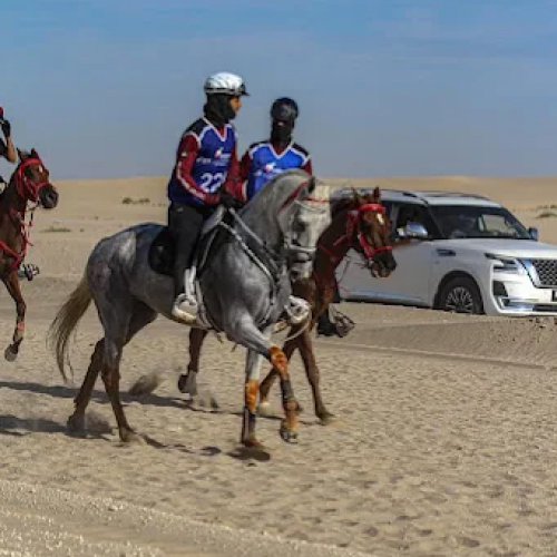 Al Shabhana Stables