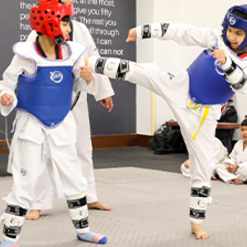 Apex Sports Academy