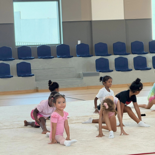 ArtFlex Gymnastics Club