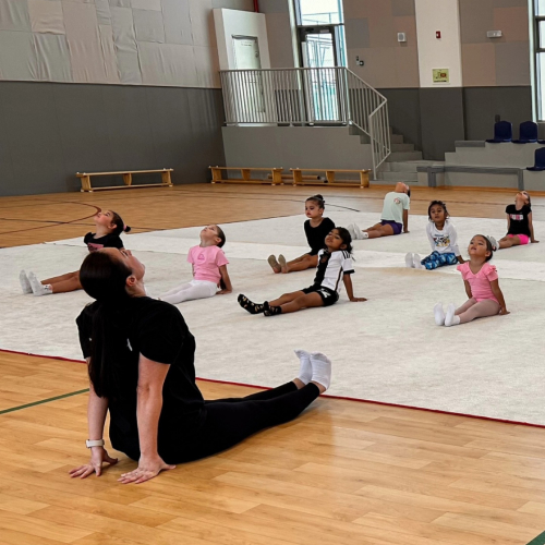 ArtFlex Gymnastics Club