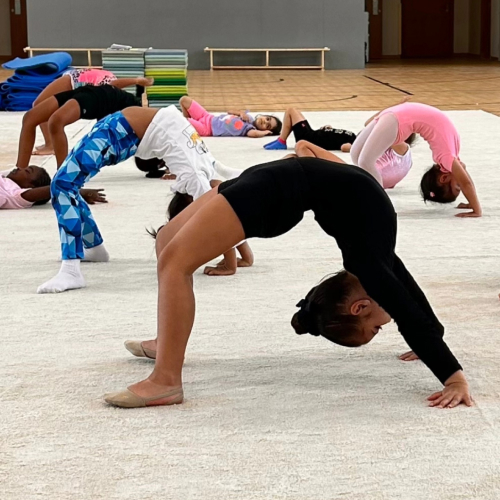ArtFlex Gymnastics Club