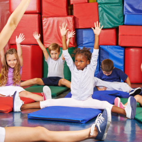Flip Gymnastic Club