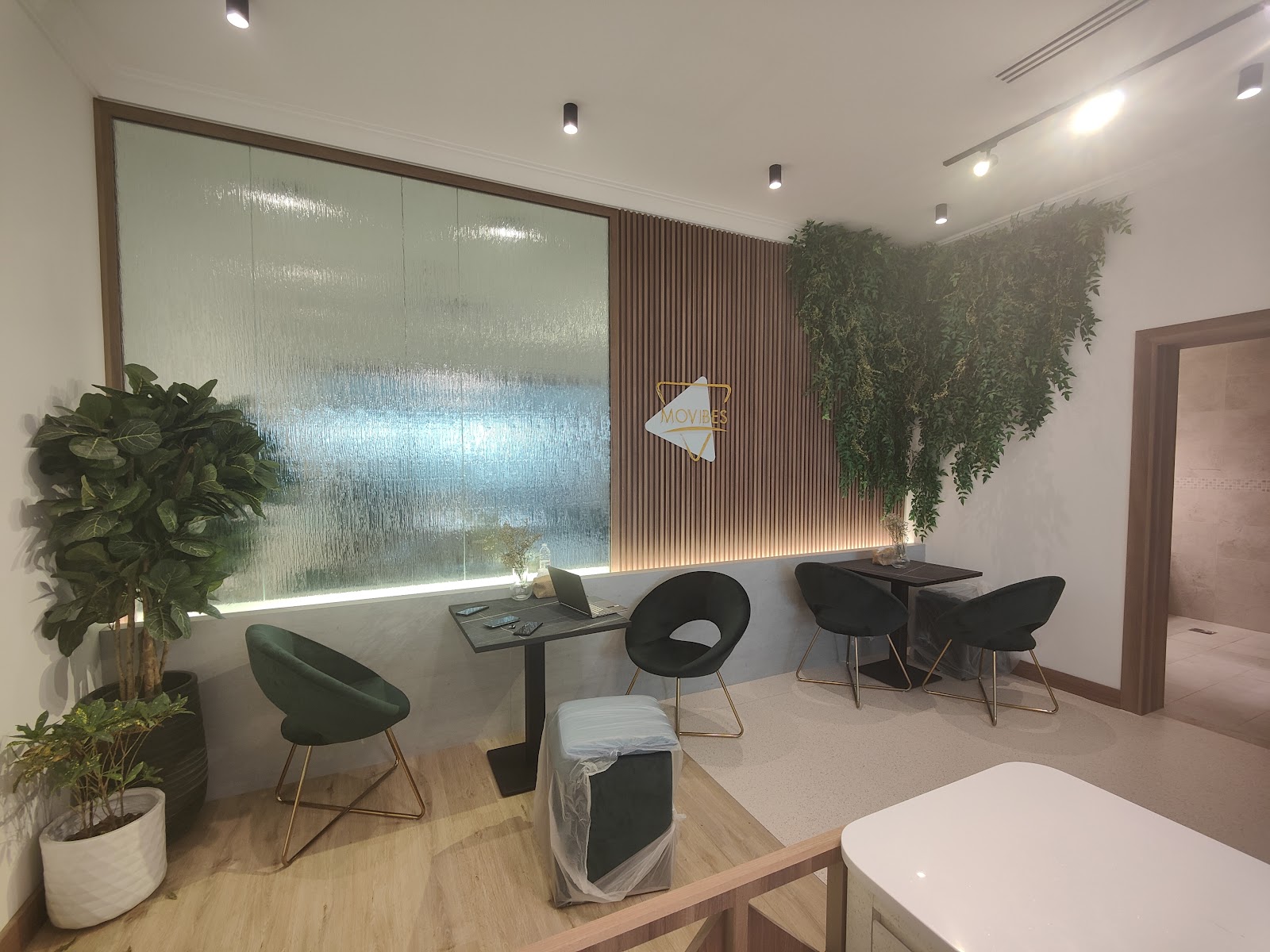 Movibes Ladies Wellness Center