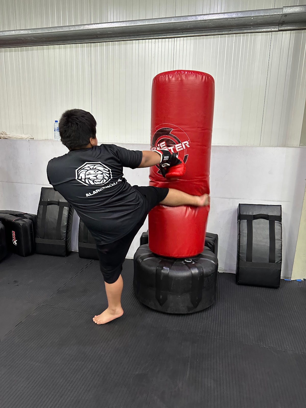 Al Areen Martial Arts